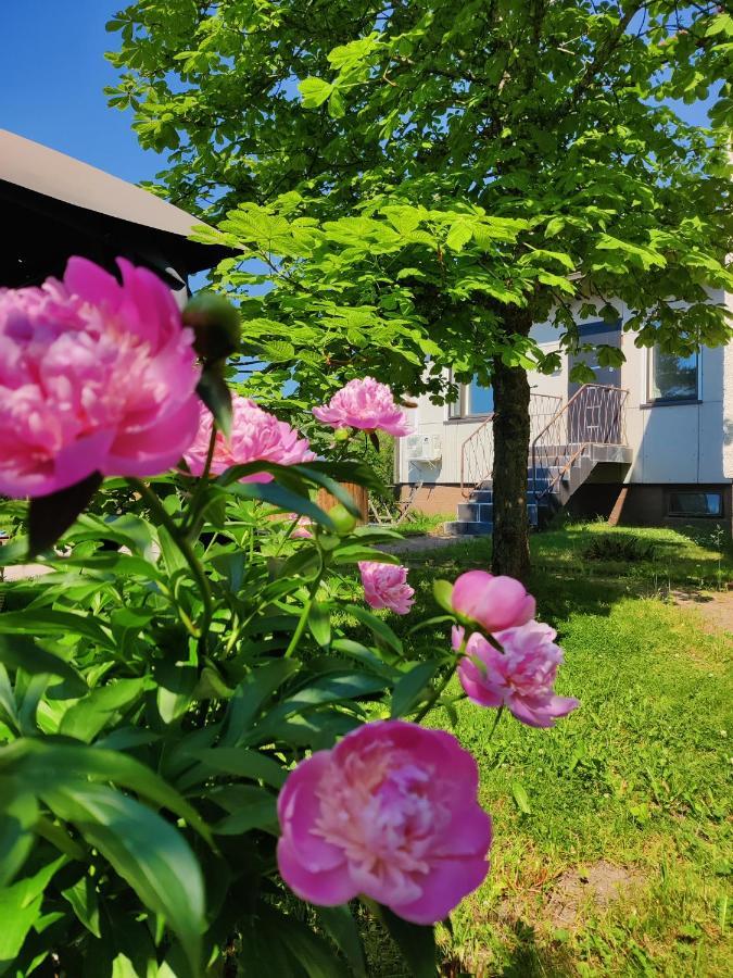 Polku Apartaments Virasoja Buitenkant foto